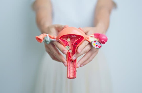 best uterine fibroid treatment in andheri
